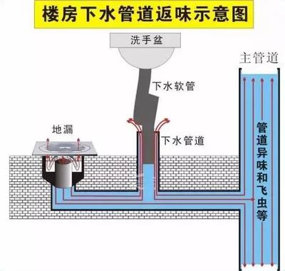 告別廚衛臭味？先從讀懂地漏開始！